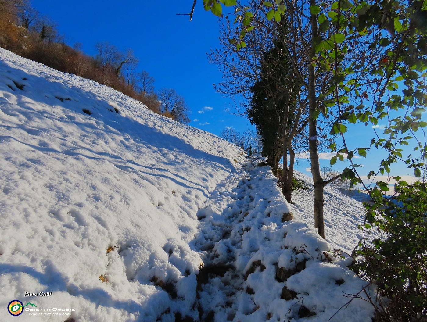 08 Sul sent. 505 pestando neve.JPG